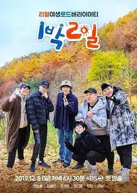 一起露营吧慢综艺在线播放